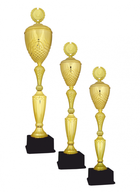 Ekonomik Kupa E92 KUPA TAKIMI