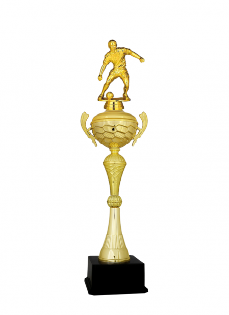 Figürlü Kupa U17-B