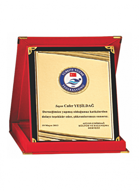 Genel Plaket T192