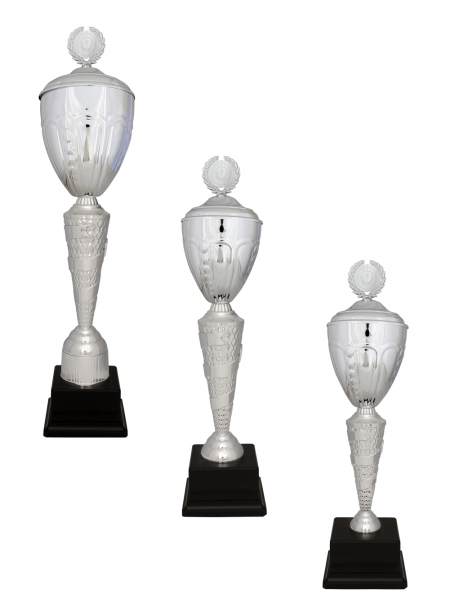 Büyük Kupa R16 KUPA TAKIMI