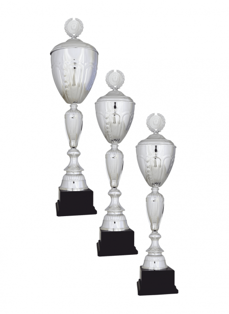 Büyük Kupa R40 KUPA TAKIMI