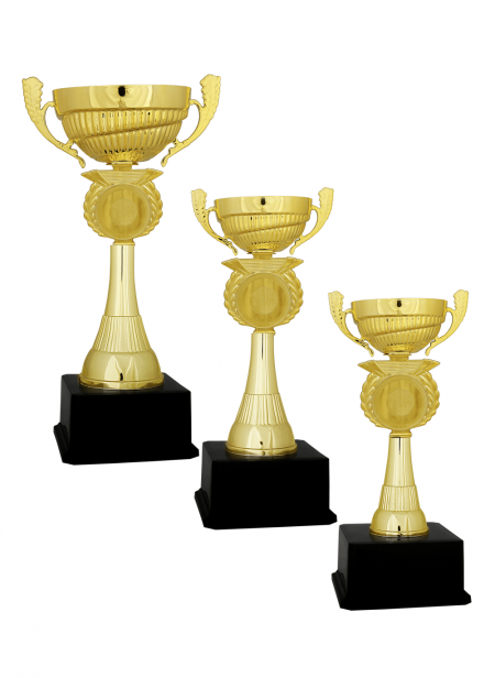 Ekonomik Kupa E11 Kupa Takımı