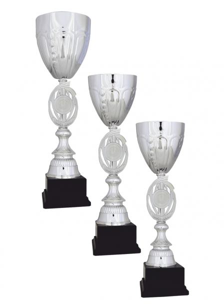 Büyük Kupa R30 KUPA TAKIMI