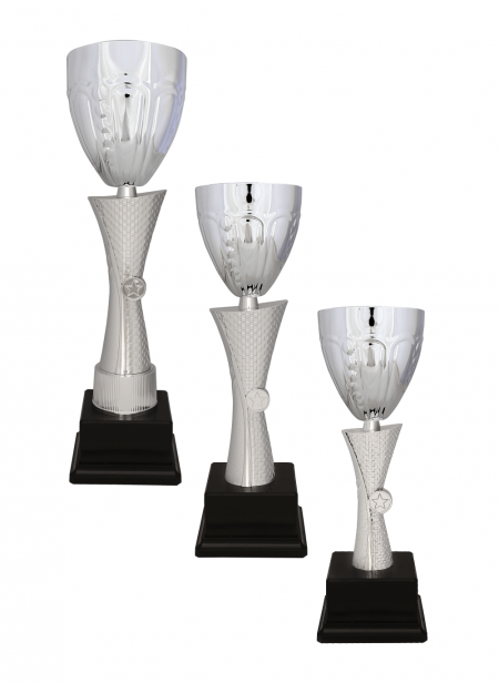 Büyük Kupa R51 Kupa Takımı