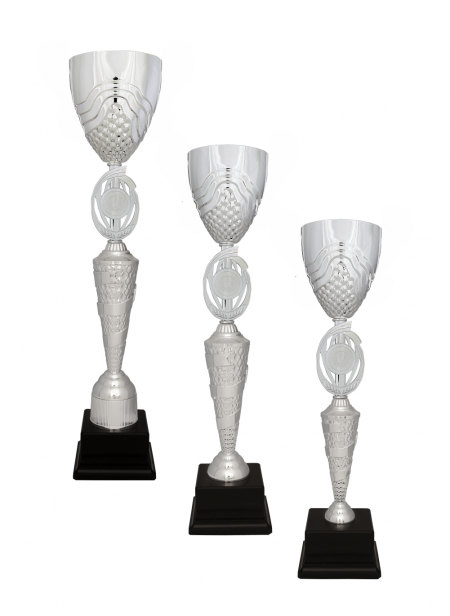 Büyük Kupa R44 KUPA TAKIMI