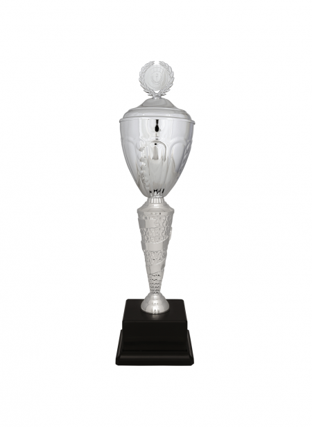 Büyük Kupa R16-C