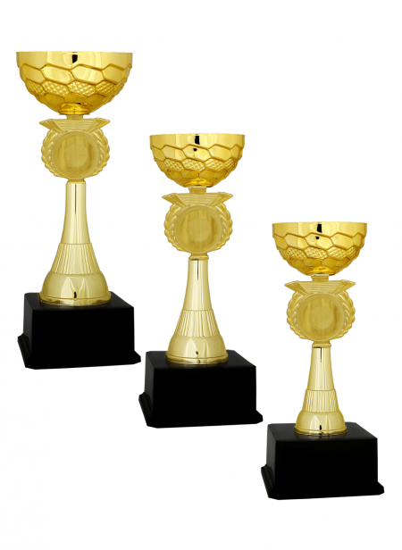 Ekonomik Kupa E12 Kupa Takımı